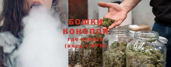 тгк Гусев