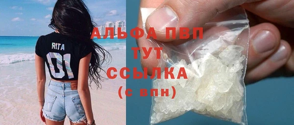 гидра Гусь-Хрустальный