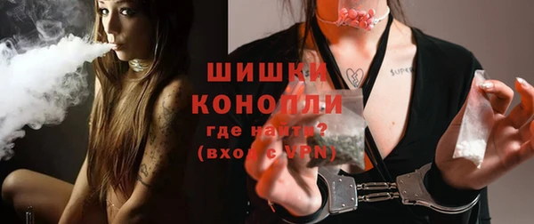 тгк Гусев
