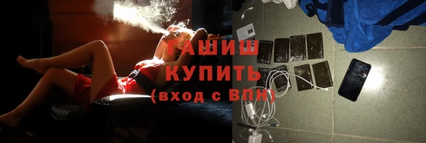 тгк Гусев