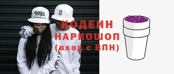 тгк Гусев
