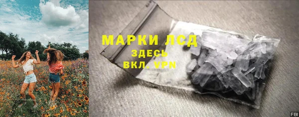 гидра Гусь-Хрустальный