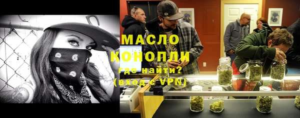 тгк Гусев