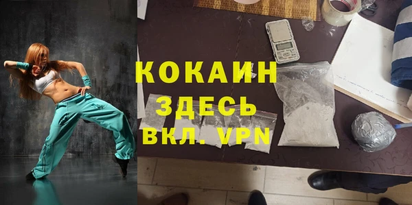 тгк Гусев